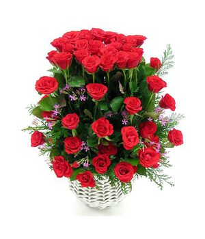 four dozen red roses basket to vietnam