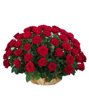 three dozen red roses match solidago and greency to vietnam