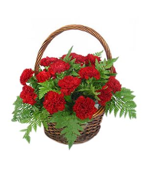 17 red carnations with green leaves to vietnam