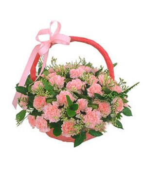 19 carnations with green leaves to vietnam