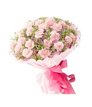 30 stems pink carnations to vietnam