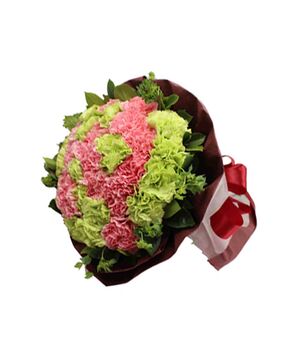 33 green and pink carnations to vietnam