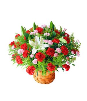 36 red carnations and 2 white perfume lilies to vietnam