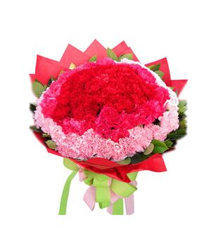 99 carnation send to vietnam