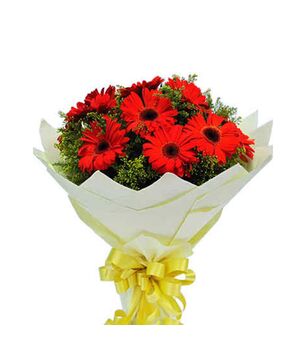 one dozen red gerbera's in bouquet to vietnam