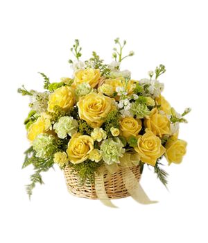 one dozen yellow roses with yellow carnations with green leaves to vietnam