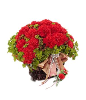 red carnations with green leaves delivery to vietnam