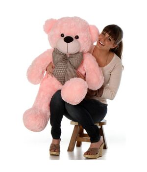 send beautiful and romantic teddy to vietnam