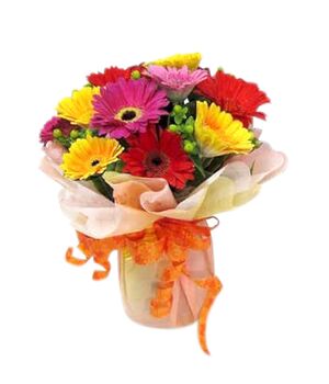 one dozen mixed color gerberas in vietnam