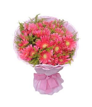 one dozen pink gerbera's in bouquet to vietnam