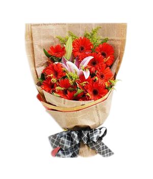 one dozen red gerberas in a bouquet to floravietnam