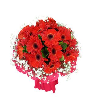 one dozen red gerbera's in bouquet to vietnam