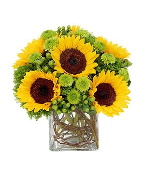 sunflower in glass vase to vietnam