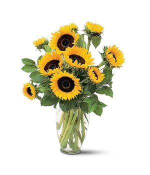 sunflower in vase to vietnam